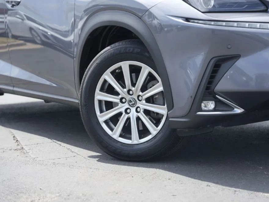 2019 Lexus NX 300 Luxury photo 1