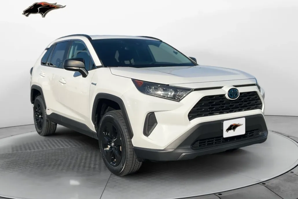 2020 Toyota RAV4 Hybrid LE photo 1