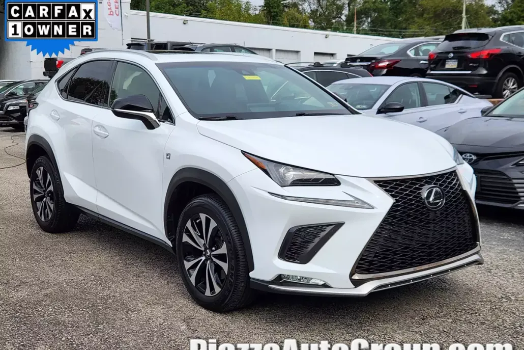 2019 Lexus NX 300 F SPORT photo 1