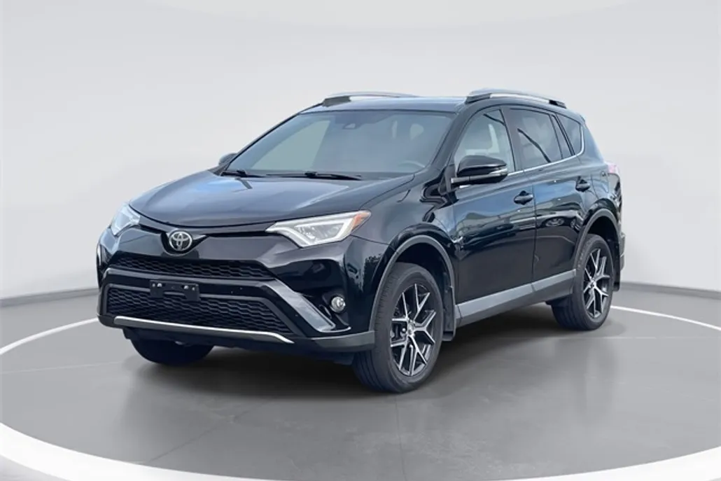 2018 Toyota RAV4 SE photo 1