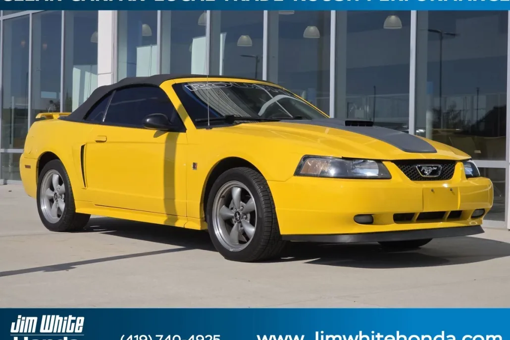 2004 Ford Mustang GT Convertible photo 1