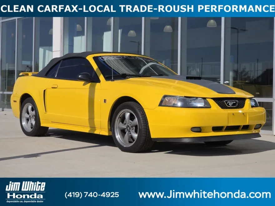 2004 Ford Mustang GT Convertible photo 1