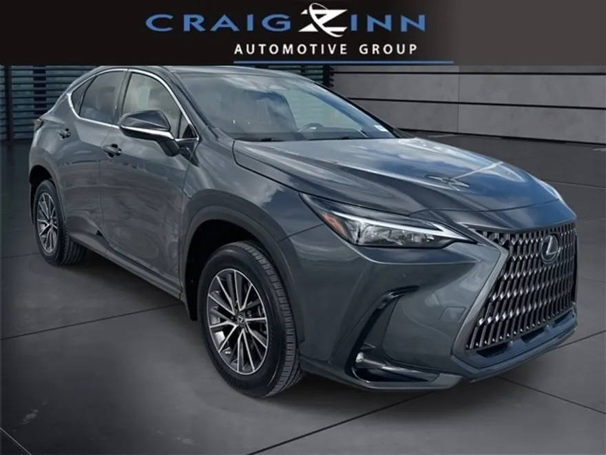2022 Lexus NX 250 Premium photo 1