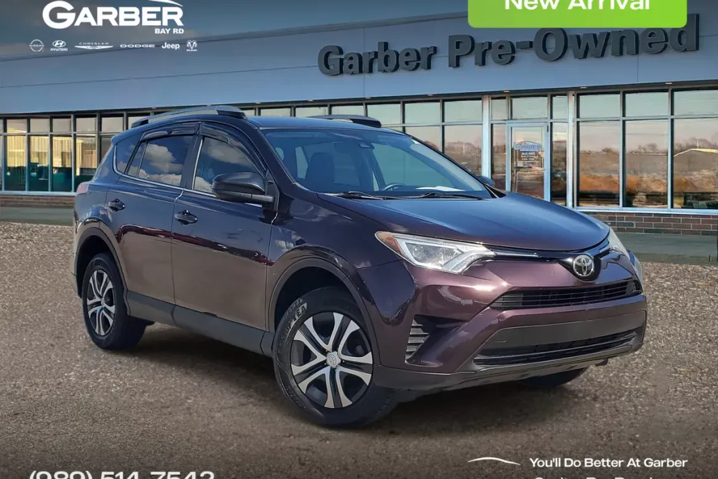 2018 Toyota RAV4 LE photo 1