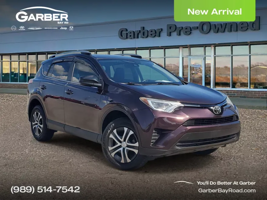 2018 Toyota RAV4 LE photo 1