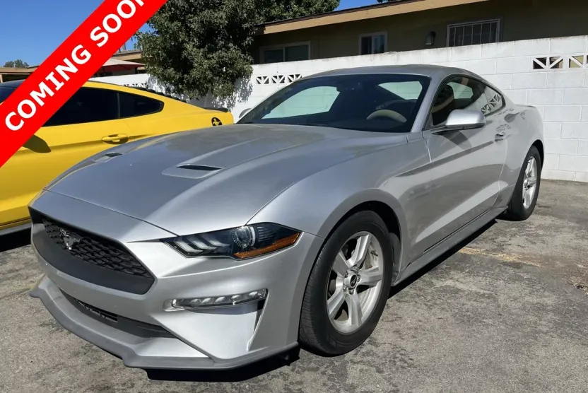 2019 Ford Mustang photo 1