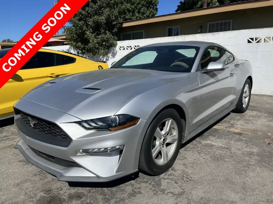 2019 Ford Mustang photo 1
