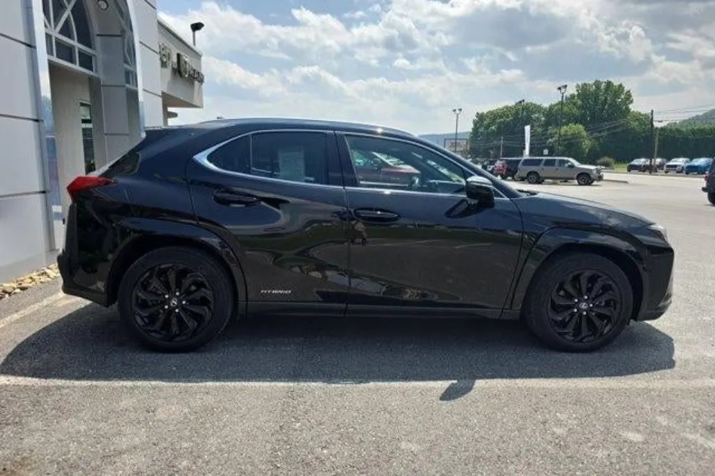 2022 Lexus UX 250h photo 1