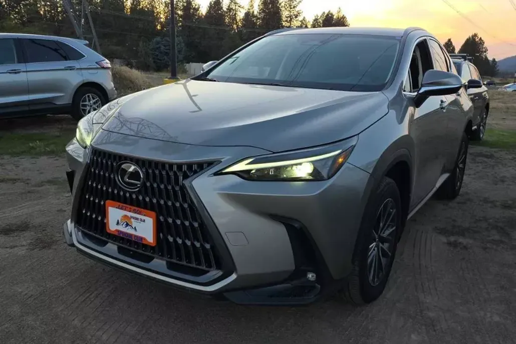 2024 Lexus NX 250 photo 1