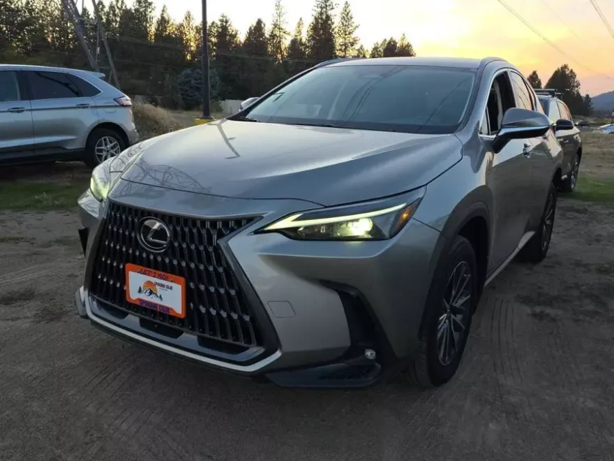 2024 Lexus NX 250 photo 1