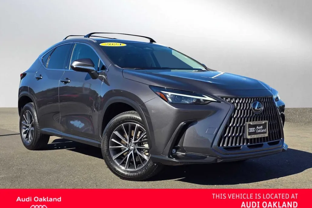 2024 Lexus NX 250 photo 1