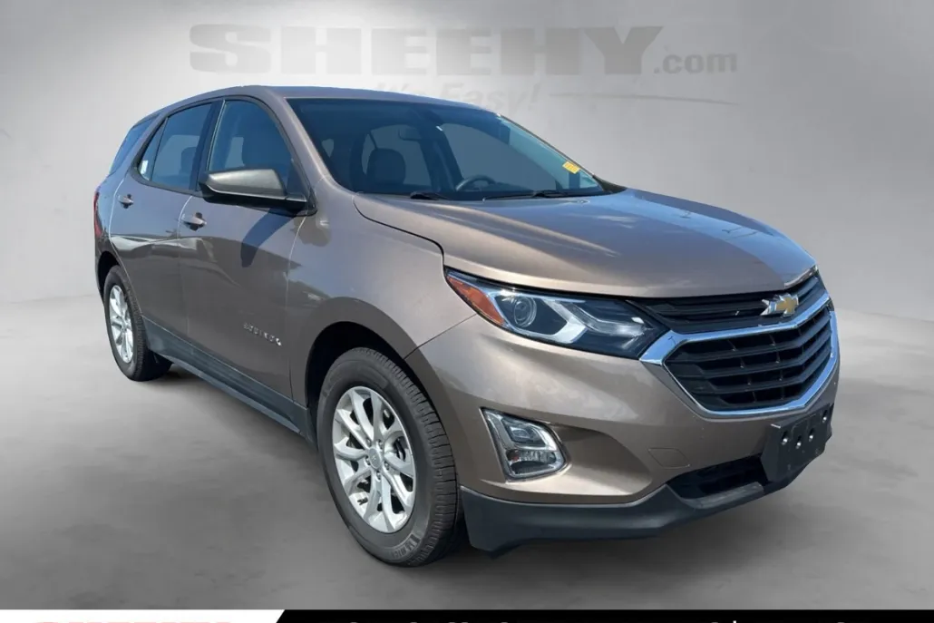 2019 Chevrolet Equinox LS photo 1