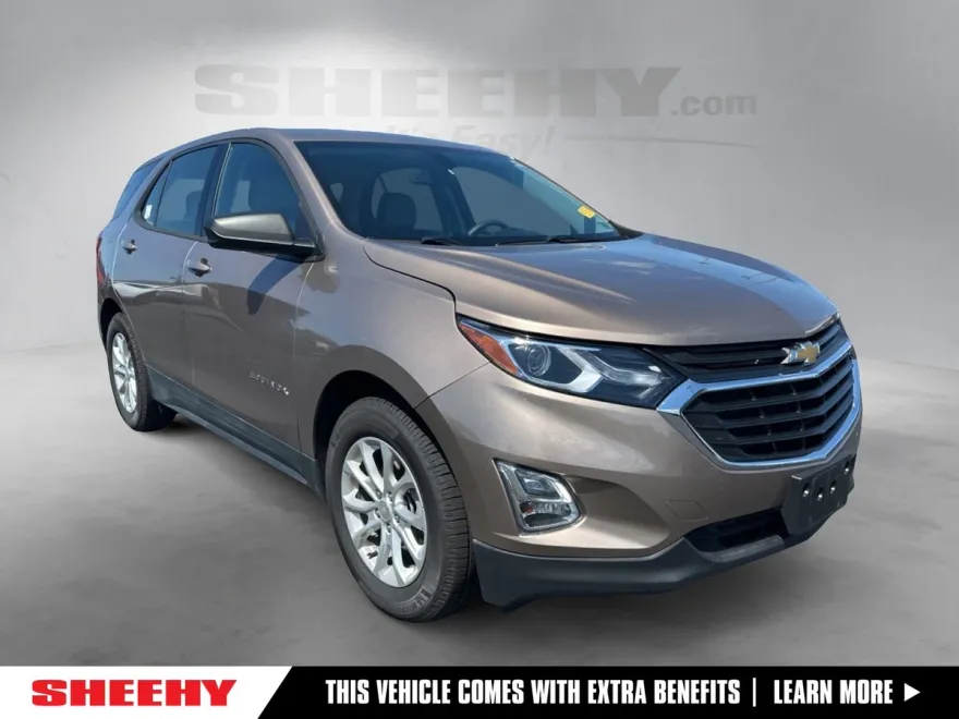 2019 Chevrolet Equinox LS photo 1