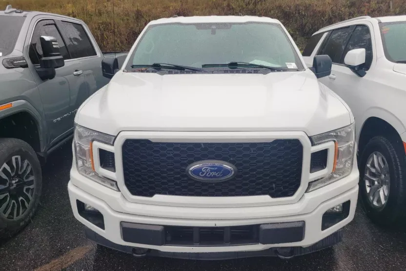 2019 Ford F-150 XL photo 1