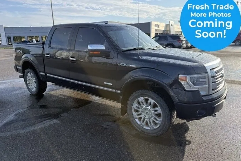 2014 Ford F-150 Platinum photo 1