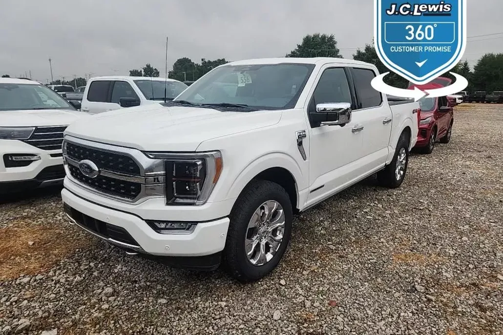 2022 Ford F-150 Platinum photo 1