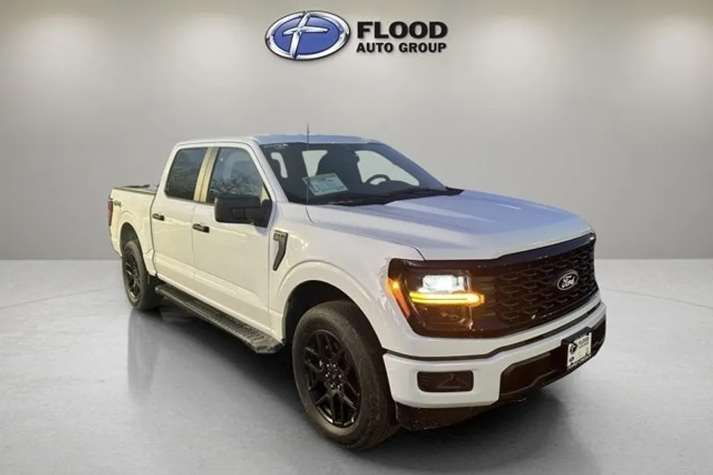 2025 Ford F-150 STX photo 1