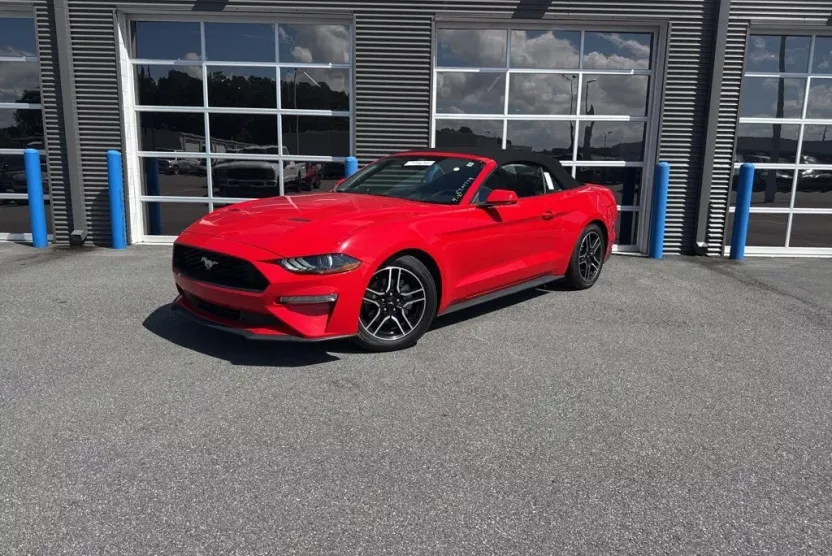 2022 Ford Mustang EcoBoost Premium photo 1