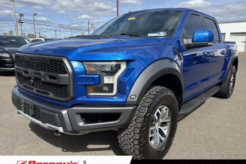 2017 Ford F-150 Raptor photo 1