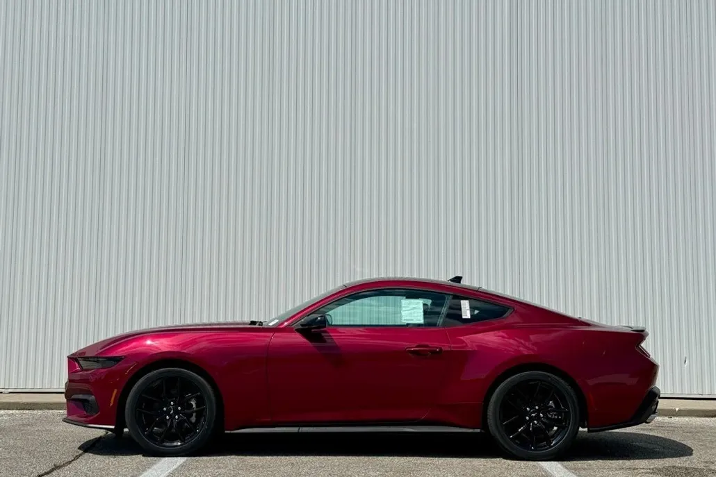 2025 Ford Mustang EcoBoost Premium photo 1