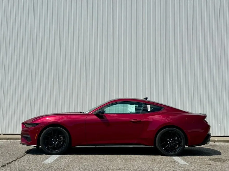 2025 Ford Mustang EcoBoost Premium photo 1