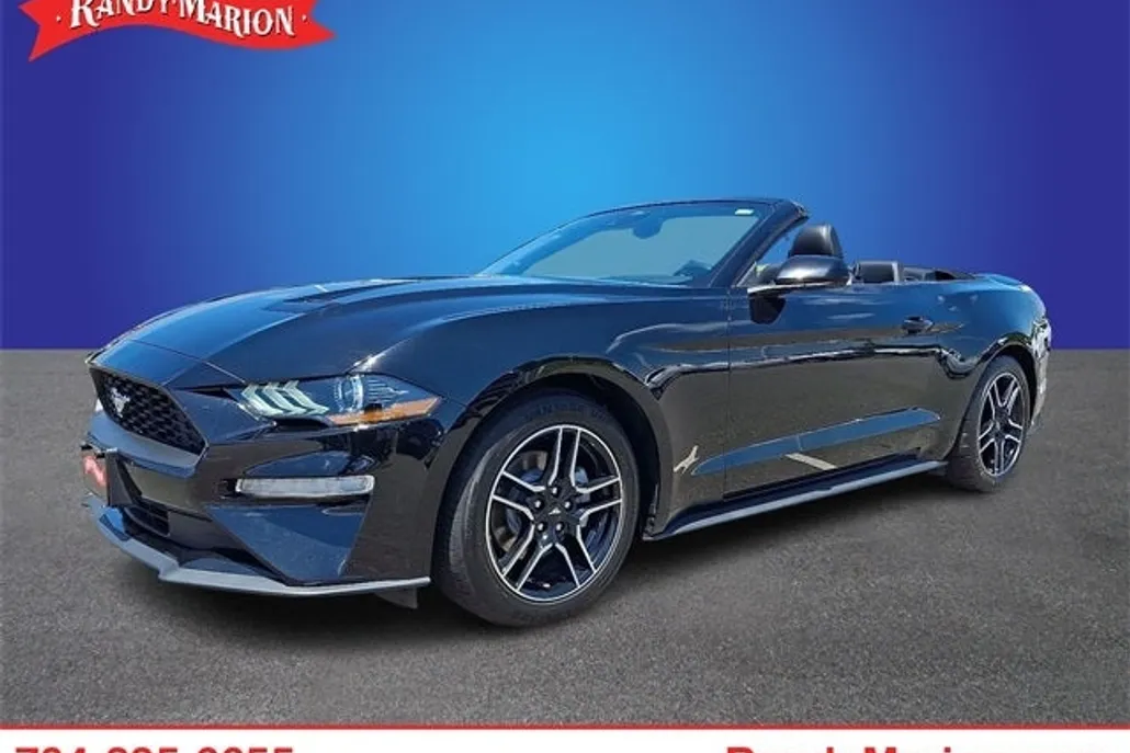 2023 Ford Mustang EcoBoost Premium photo 1