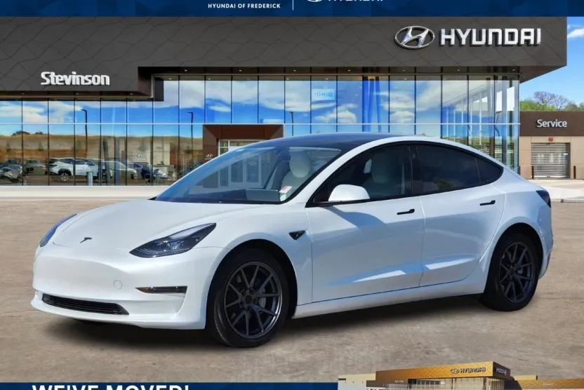 2022 Tesla Model 3 photo 1
