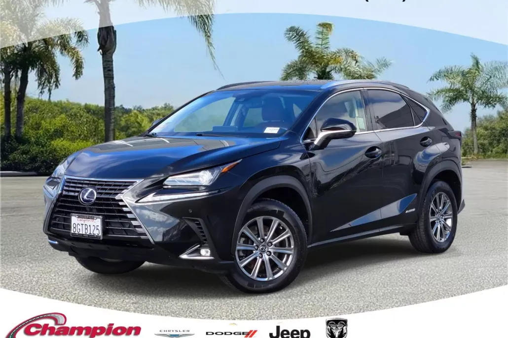 2019 Lexus NX 300h Luxury photo 1