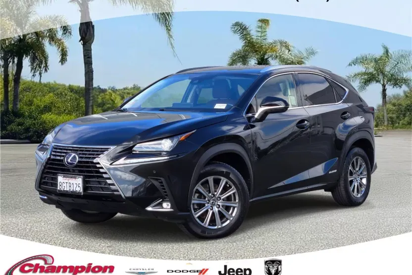 2019 Lexus NX 300h Luxury photo 1