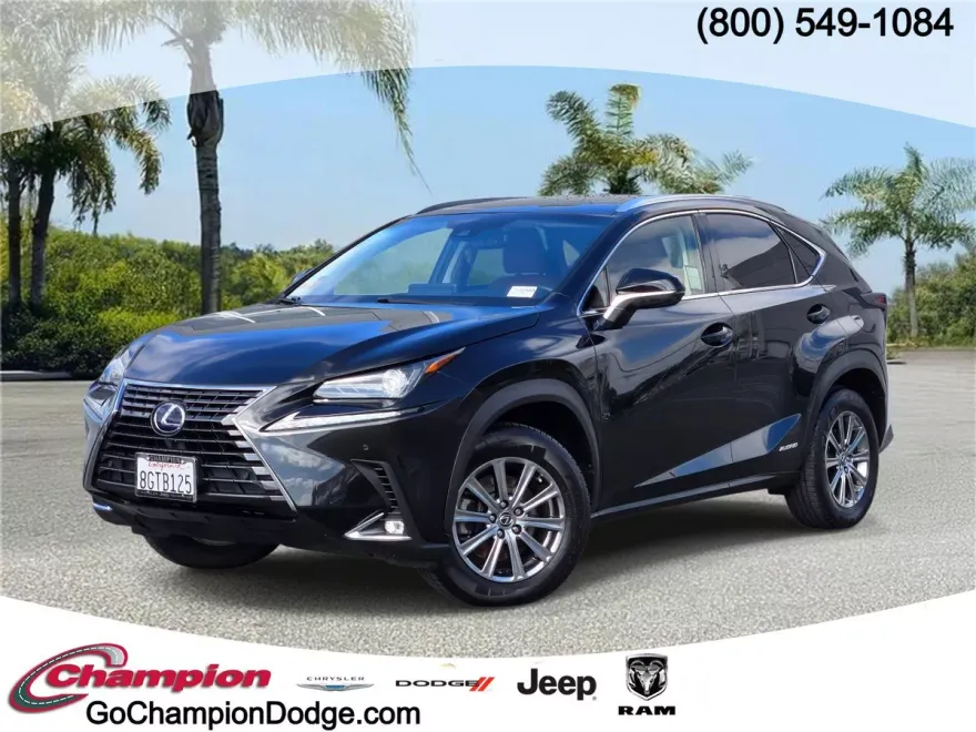 2019 Lexus NX 300h Luxury photo 1