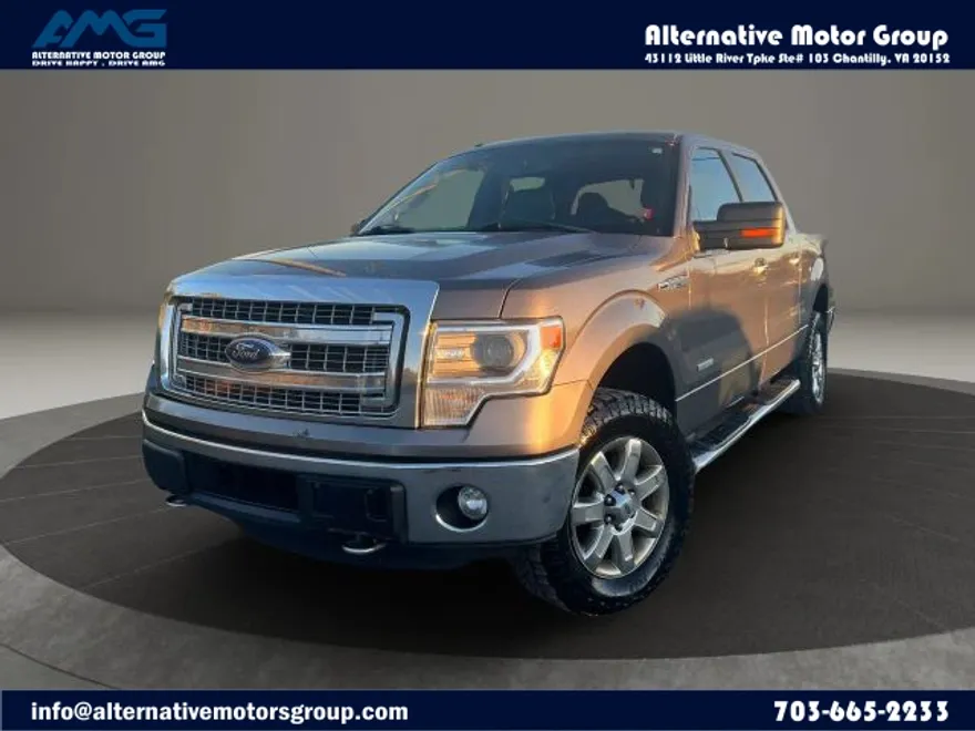 2014 Ford F-150 photo 1
