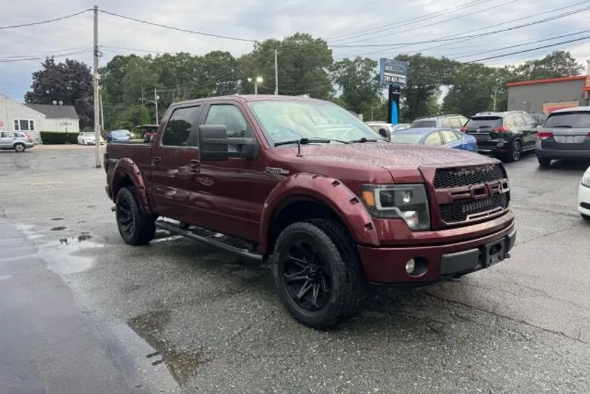2010 Ford F-150 photo 1