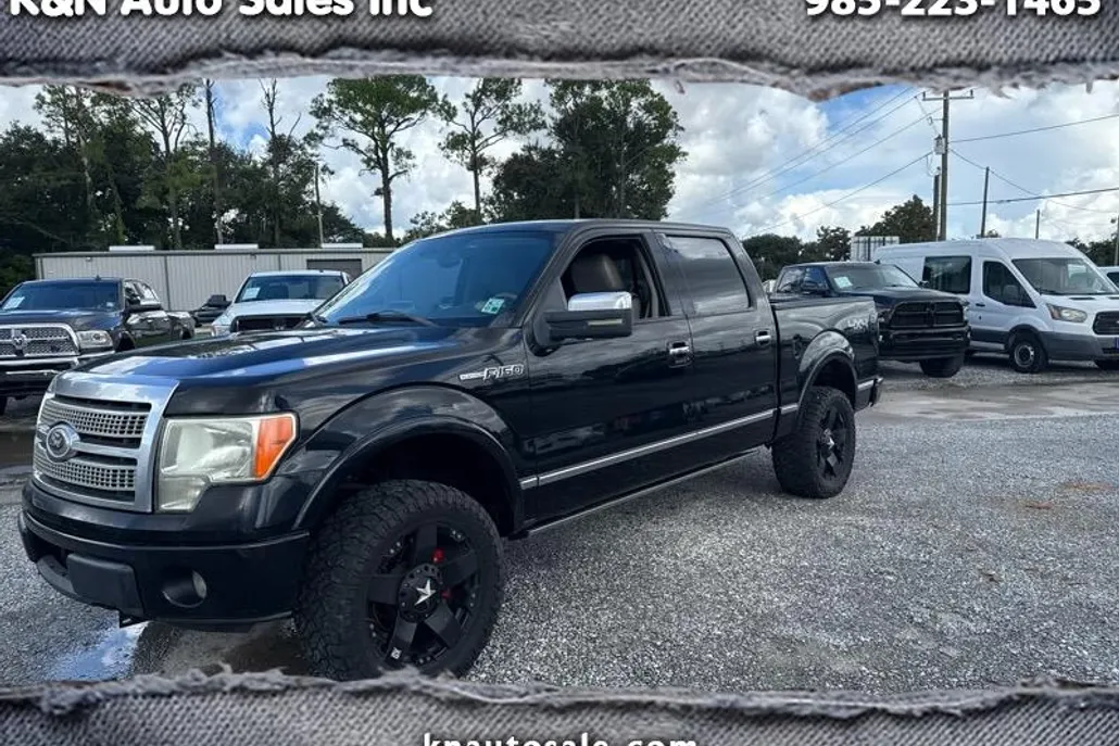 2009 Ford F-150 Platinum photo 1