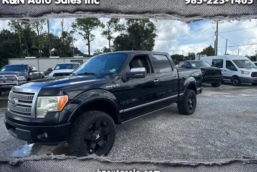 2009 Ford F-150 Platinum photo 1