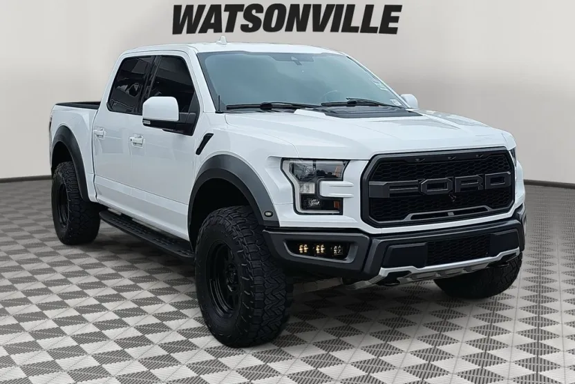 2019 Ford F-150 Raptor photo 1