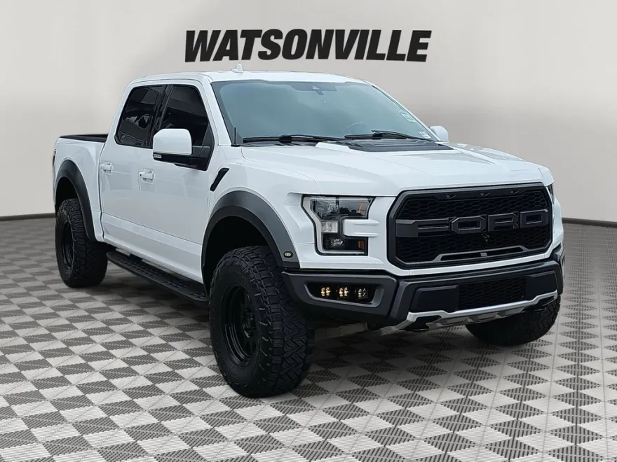 2019 Ford F-150 Raptor photo 1
