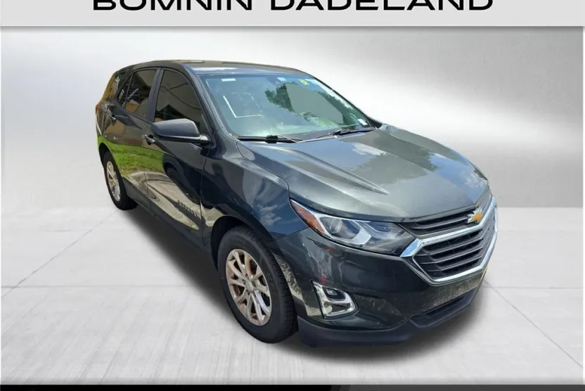 2020 Chevrolet Equinox LS photo 1