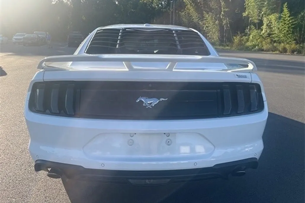 2018 Ford Mustang EcoBoost photo 1