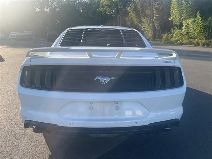 2018 Ford Mustang EcoBoost photo 1