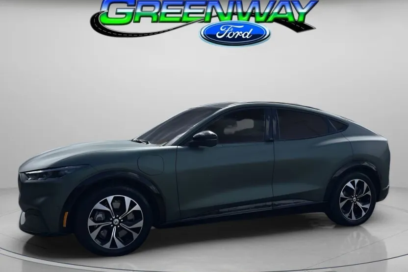 2021 Ford Mustang Mach-E Premium photo 1