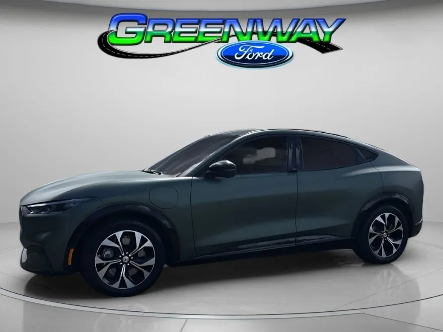 2021 Ford Mustang Mach-E Premium photo 1