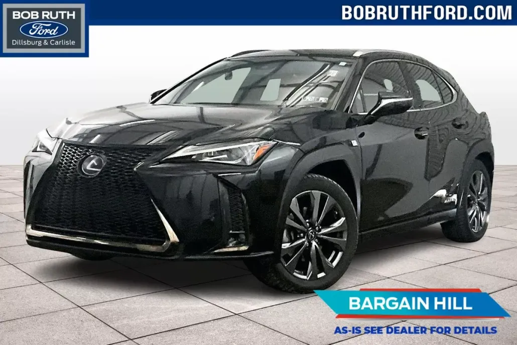 2019 Lexus UX 250h photo 1