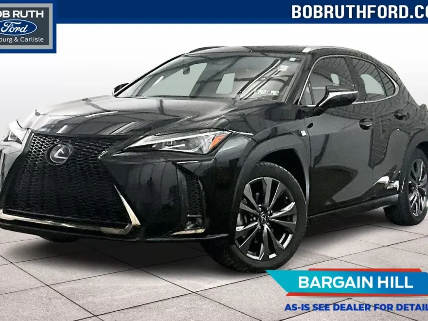 2019 Lexus UX 250h photo 1