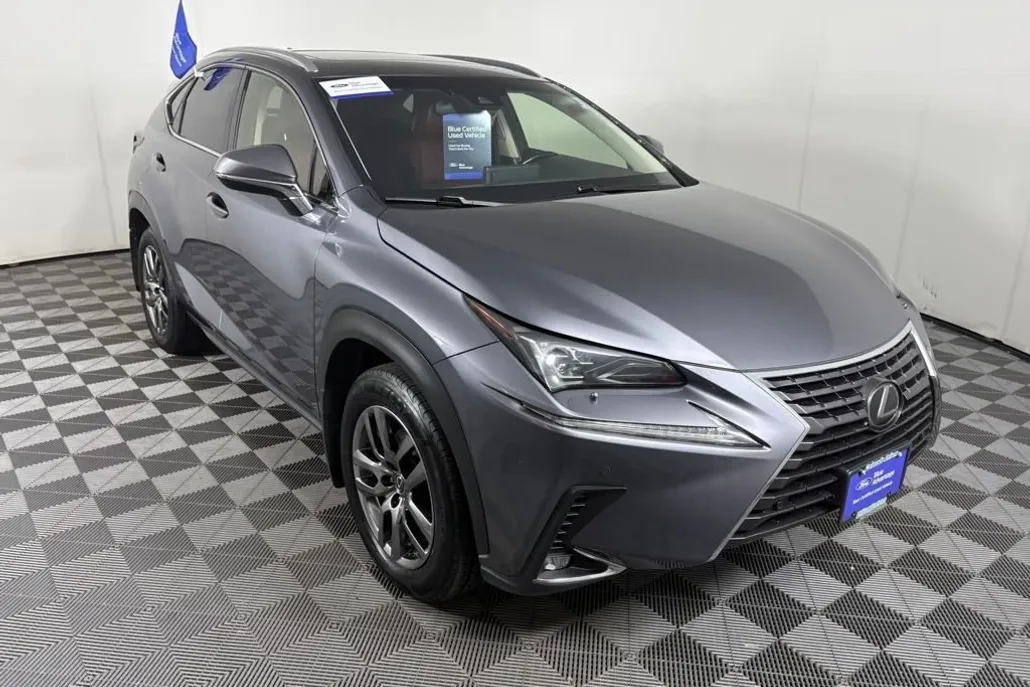 2018 Lexus NX 300 Luxury photo 1