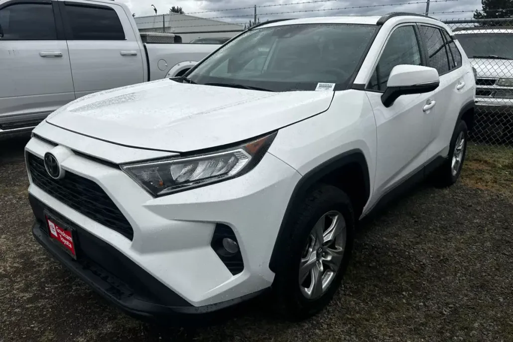 2019 Toyota RAV4 XLE photo 1