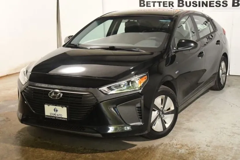 2019 Hyundai Ioniq Blue photo 1