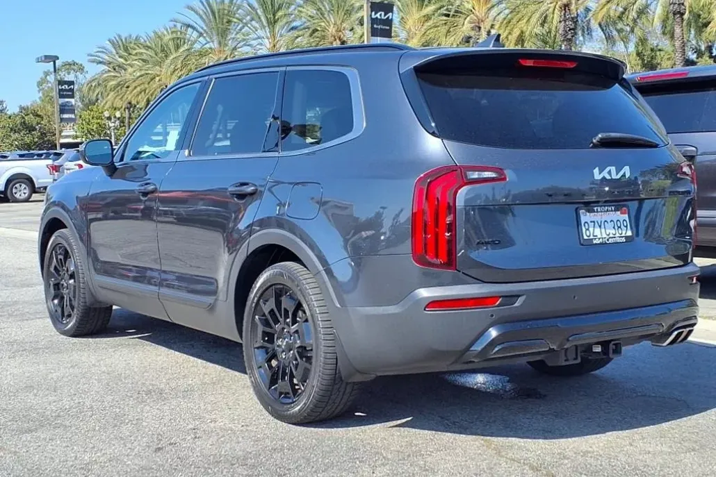 2022 Kia Telluride EX photo 1