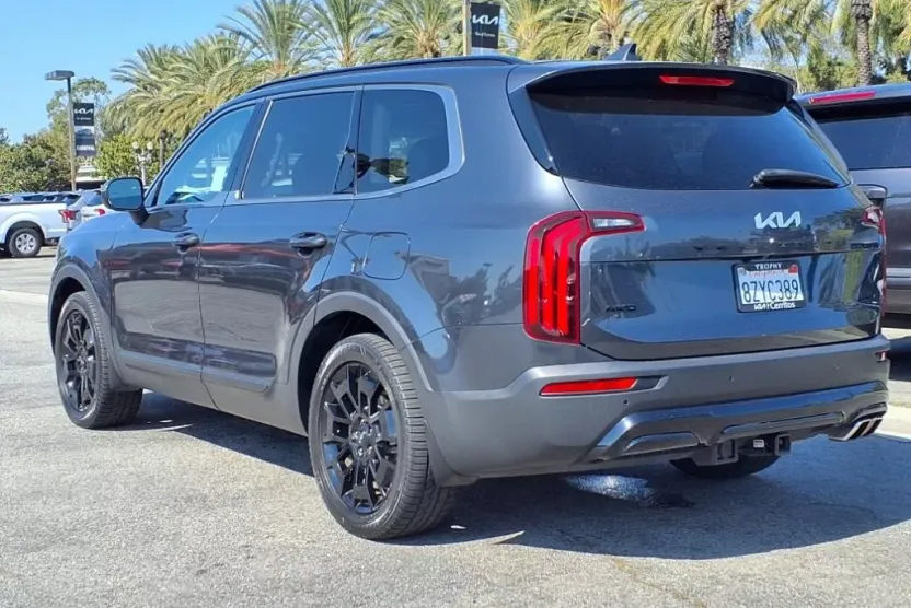 2022 Kia Telluride EX photo 1