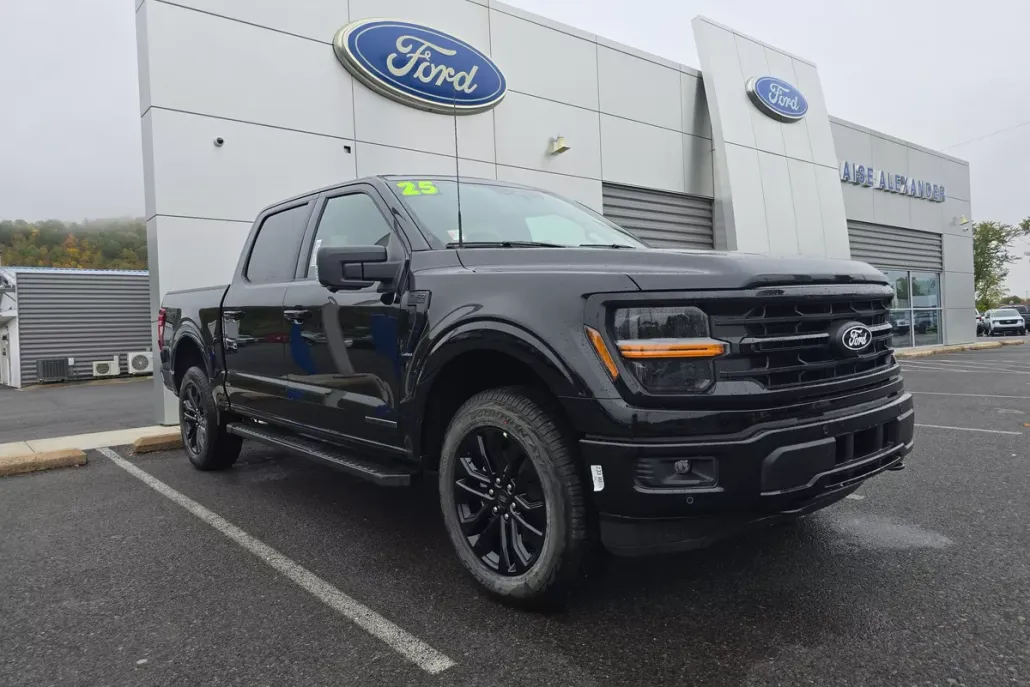 2025 Ford F-150 XLT photo 1
