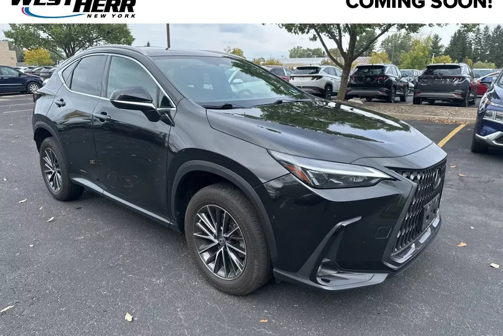 2022 Lexus NX 350 AWD photo 1